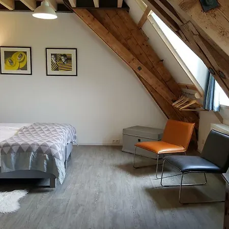 De Gaanderij 3* בארנדרכט