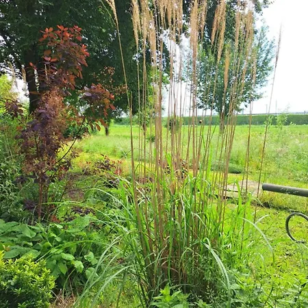 De Gaanderij Bed and breakfast 3*