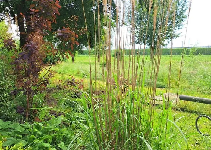 De Gaanderij Bed and breakfast 3*